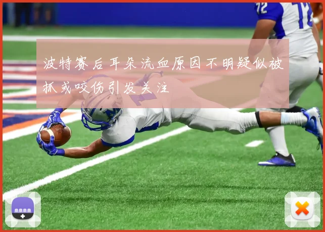 波特赛后耳朵流血原因不明疑似被抓或咬伤引发关注