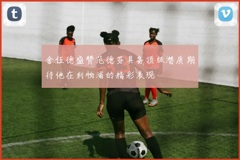 舍伍德盛赞范德芬具备顶级潜质期待他在利物浦的精彩表现