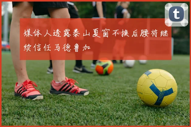 媒体人透露泰山夏窗不换后腰将继续信任马德鲁加